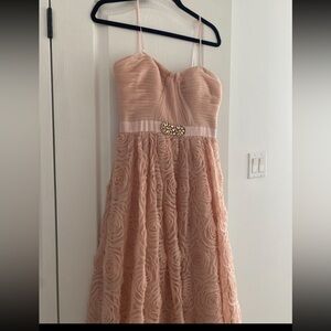 Adrianna Papell Blush Strapless Lace Dress
Style #041851540